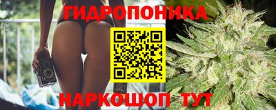 шишки Бугуруслан