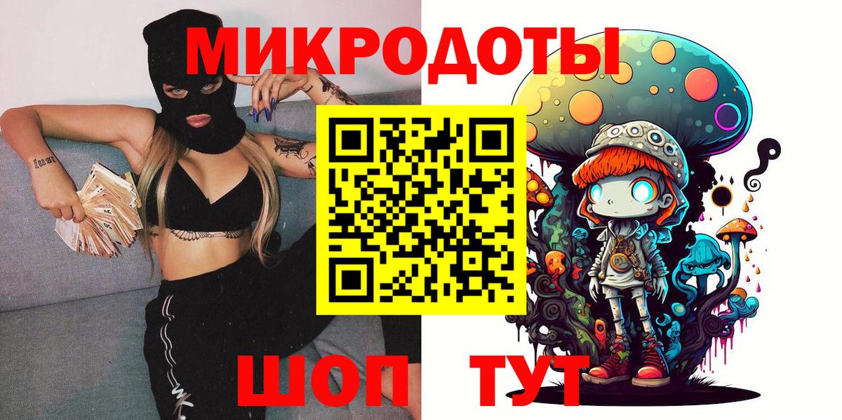 Галлюциногенные грибы Psilocybe Курчатов